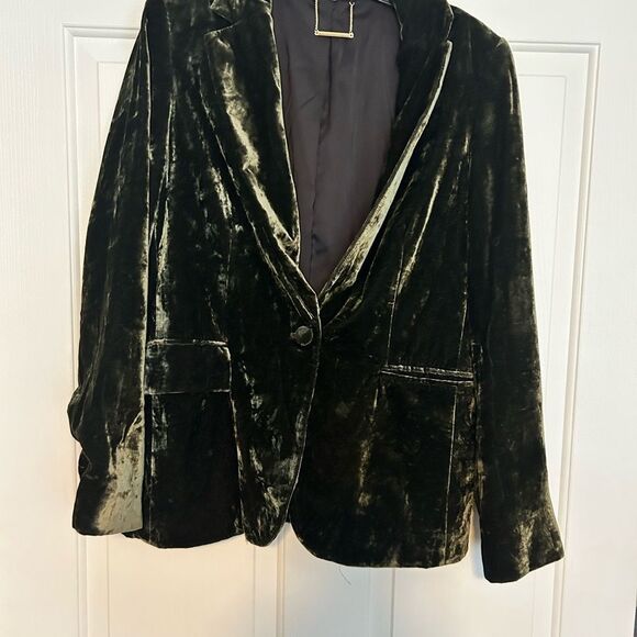 FRAME Classic Crushed Velvet Blazer - size 12 NWOT - Picture 2 of 9